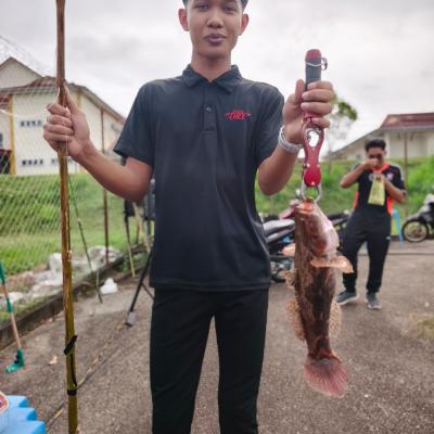 562847907 18020352599775794 2299494178381820921 N