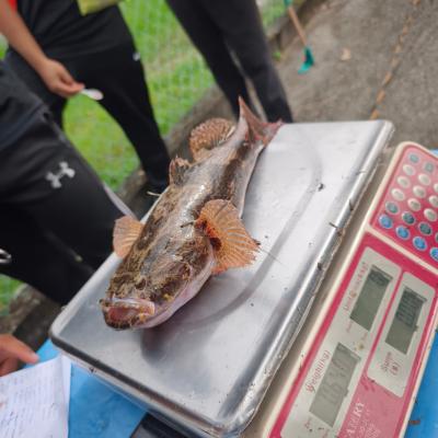 563830346 18020352521775794 8711372073558158387 N